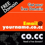 Kiếm tiền với việc đăng kí và sử dụng domain free co.cc